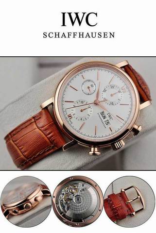 IWC watch man-299